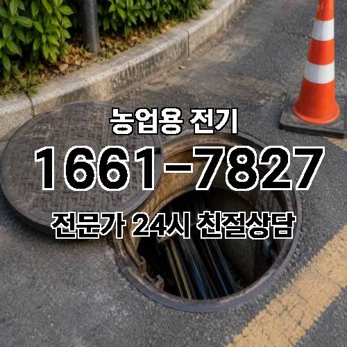게시판 이미지 16642