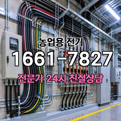 게시판 이미지 16853