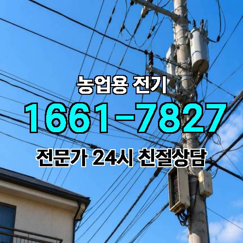 게시판 이미지 16860