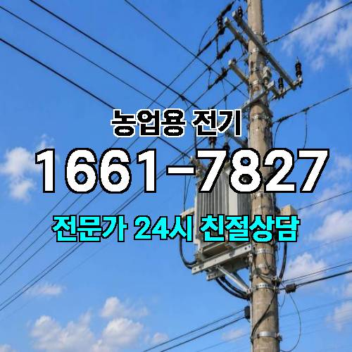 게시판 이미지 17186
