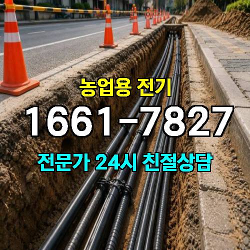 게시판 이미지 17411
