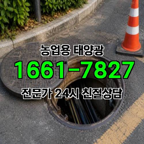 게시판 이미지 1144