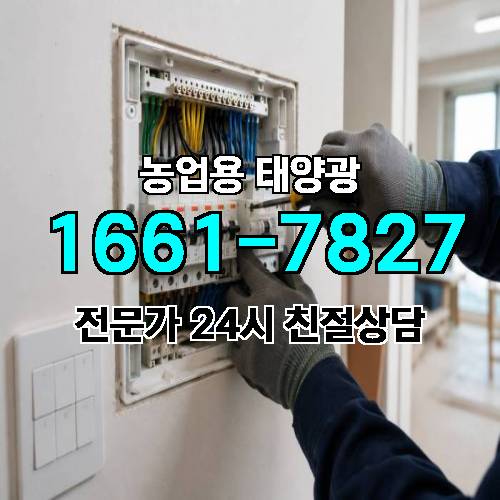 게시판 이미지 1185