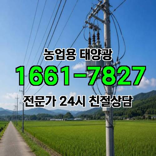 게시판 이미지 1325