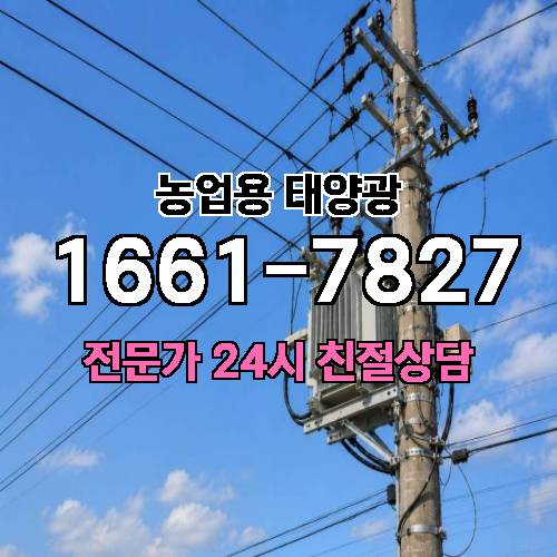게시판 이미지 1356