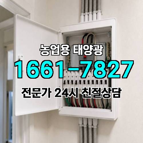 게시판 이미지 1458
