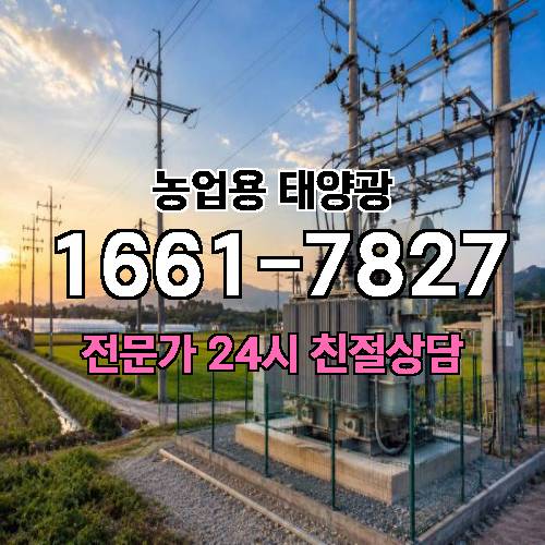 게시판 이미지 1553