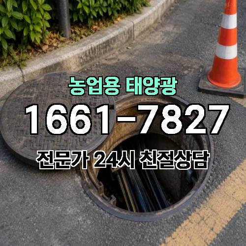 게시판 이미지 1795