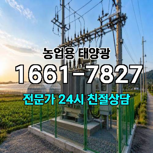 게시판 이미지 1847
