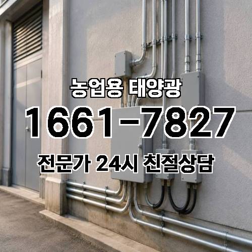 게시판 이미지 1977