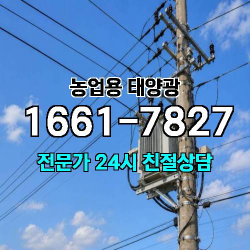 게시판 이미지 215