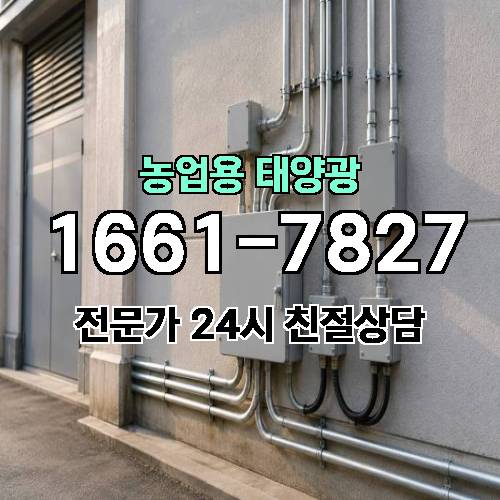 게시판 이미지 2182
