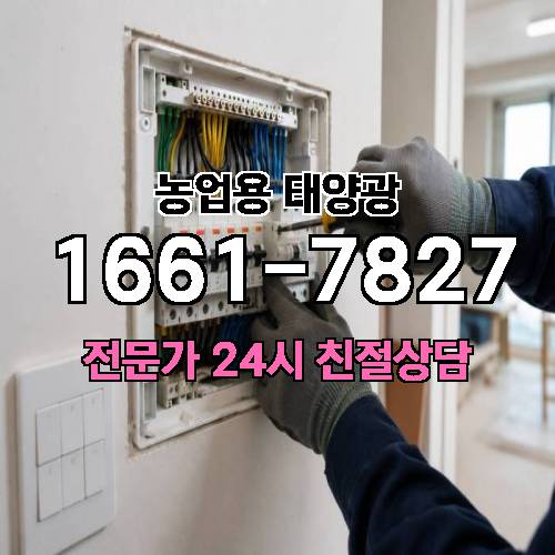 게시판 이미지 2307