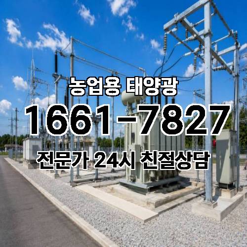 게시판 이미지 2462
