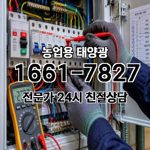 게시판 이미지 258