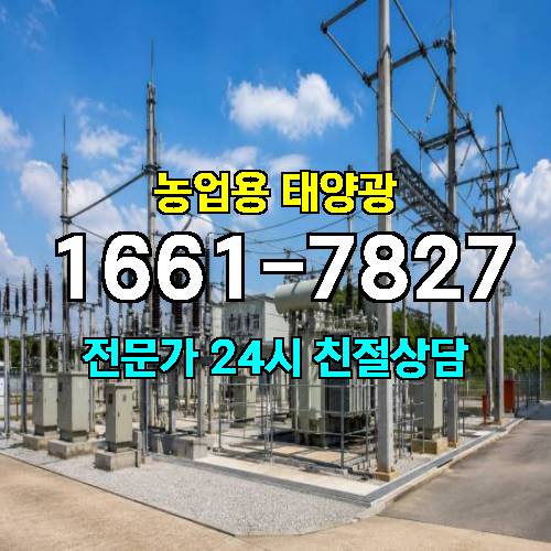 게시판 이미지 2818