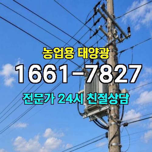 게시판 이미지 3