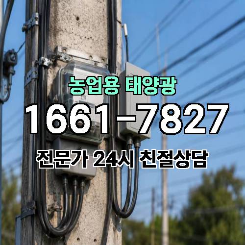 게시판 이미지 3372