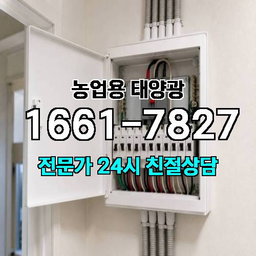 게시판 이미지 3586