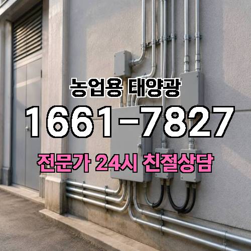 게시판 이미지 3587