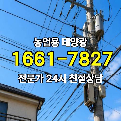 게시판 이미지 3997