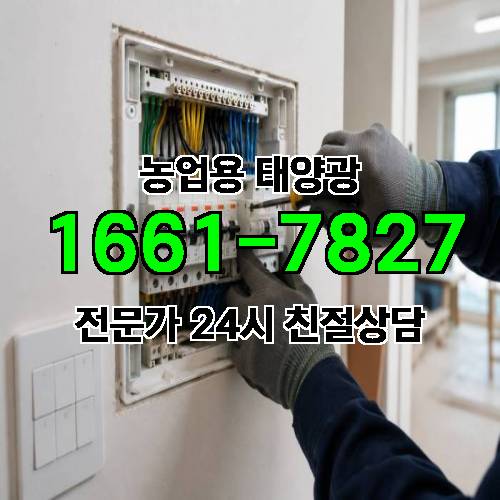 게시판 이미지 3998
