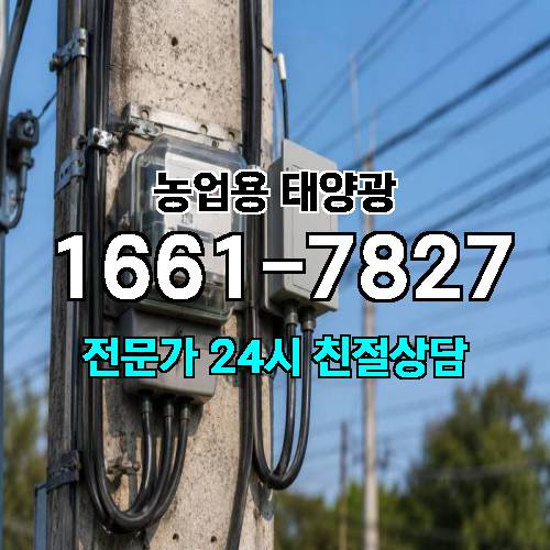 게시판 이미지 4012