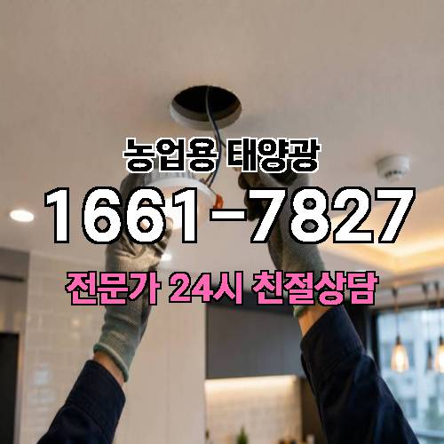 게시판 이미지 4036