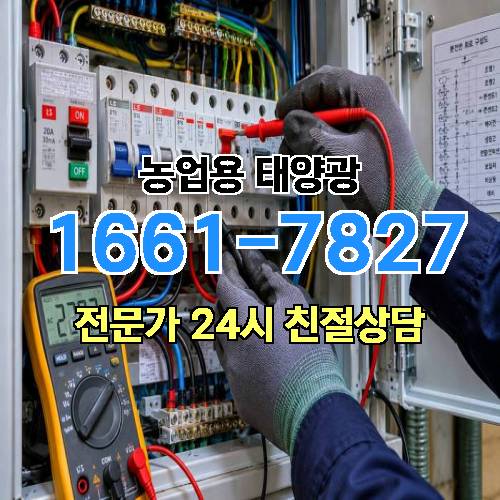 게시판 이미지 4445