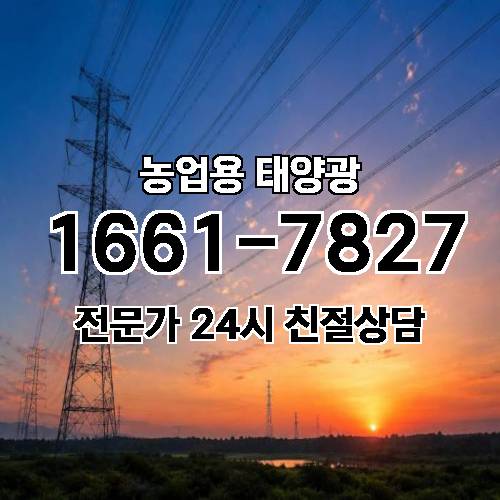 게시판 이미지 514