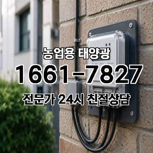 게시판 이미지 803