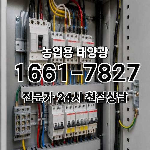 게시판 이미지 992