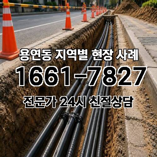 게시판 이미지 16381
