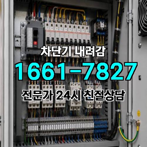 게시판 이미지 1560