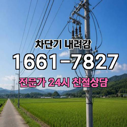 게시판 이미지 2317