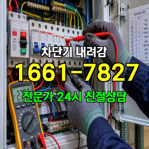 게시판 이미지 2527