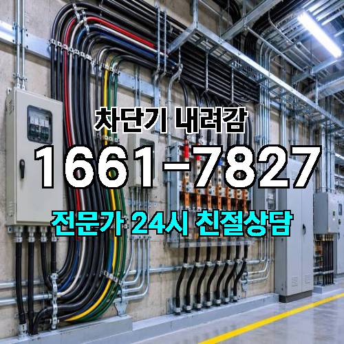 게시판 이미지 2586