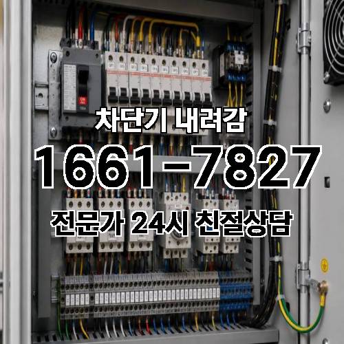 게시판 이미지 2808