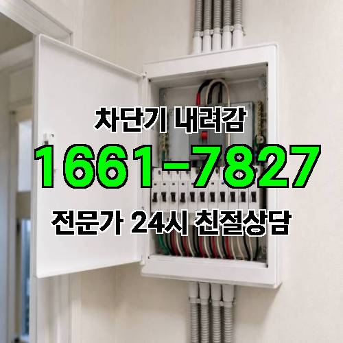 게시판 이미지 4973