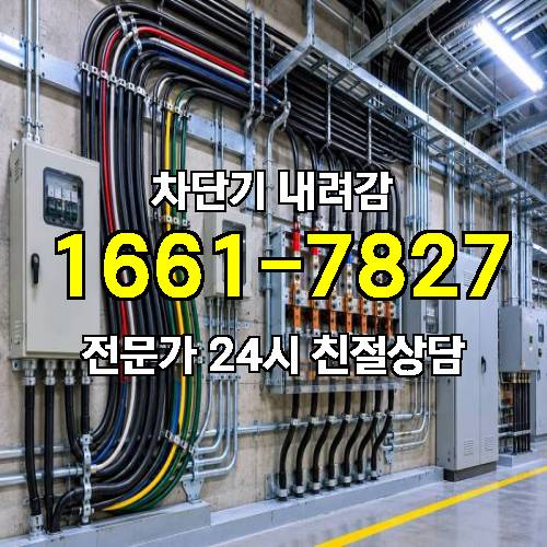 게시판 이미지 5179