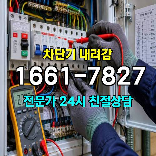 게시판 이미지 5189