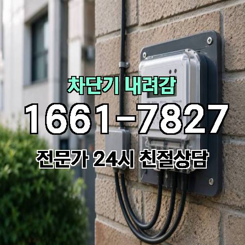 게시판 이미지 5210