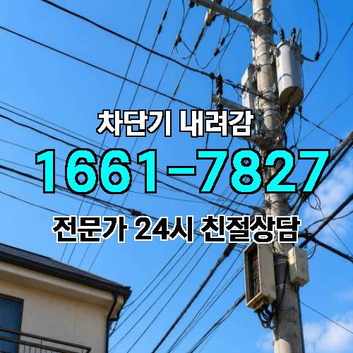 게시판 이미지 5224