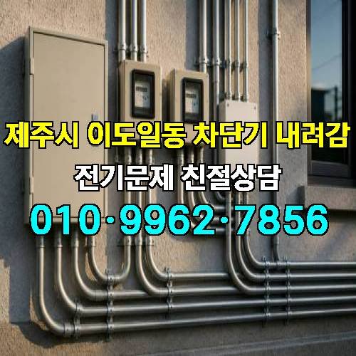 게시판 이미지 5531