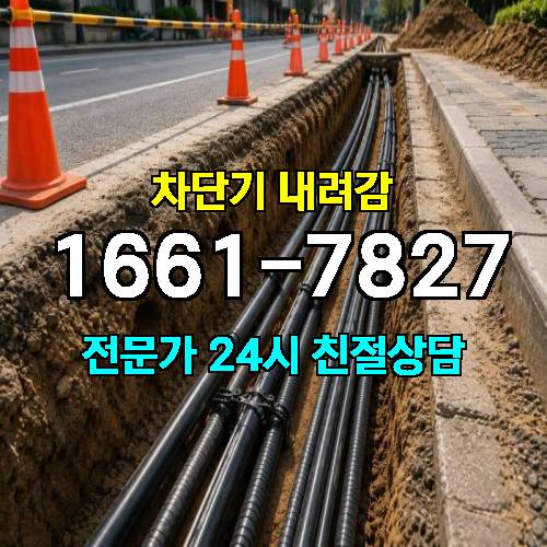 게시판 이미지 5772