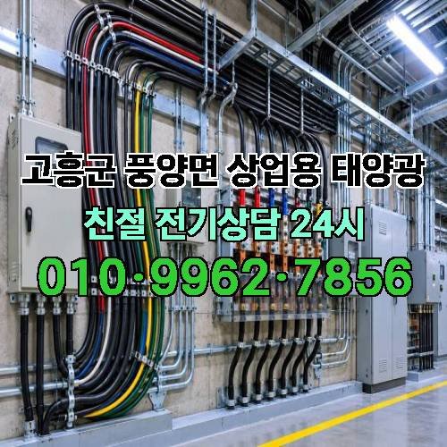 게시판 이미지 3535