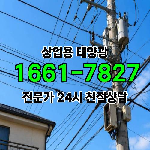 게시판 이미지 3583
