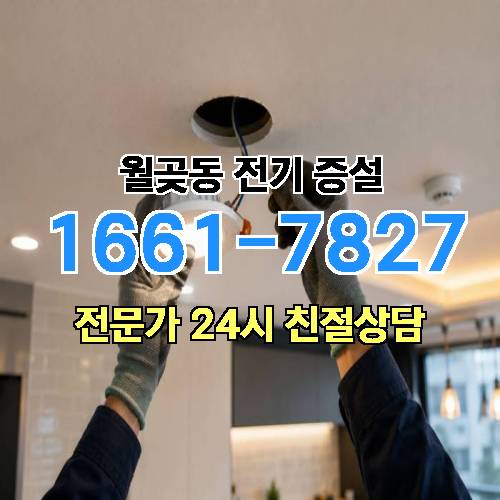 게시판 이미지 8169