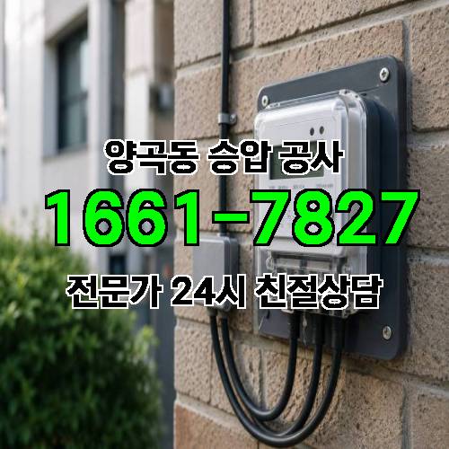 게시판 이미지 14781