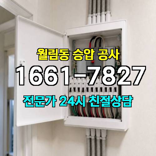 게시판 이미지 14787